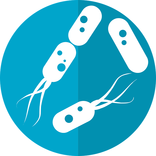 Mikrobiom skóry a trądzik różowaty: Odkryj siłę probiotyków i prebiotyków